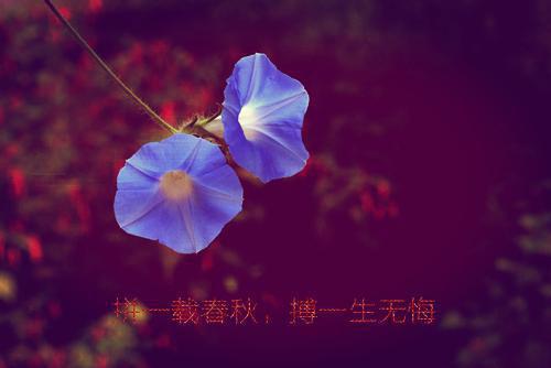 岁失业回家父母按天收我房租(小李妈妈)最新推荐_最新推荐岁失业回家父母按天收我房租(小李妈妈)