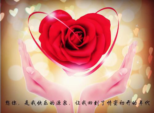 谢尽长安花：全文+完结+后续结局+番外(沈照霜宁砚)全文沈照霜宁砚阅读无弹窗结局_ 沈照霜宁砚读结局章节列表_笔趣阁（谢尽长安花：全文+完结+后续结局+番外）