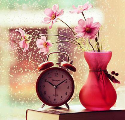 夏若裴屿寒结局 爱意离去，再无回响笔趣阁