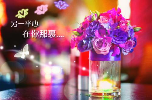 顾穗宁最新章节更新 玉满岁宁免费阅读小说