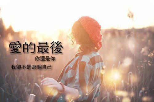 杨琳沈巍顾雪桐小说名字 学区房被占后，我杀疯了免费阅读小说
