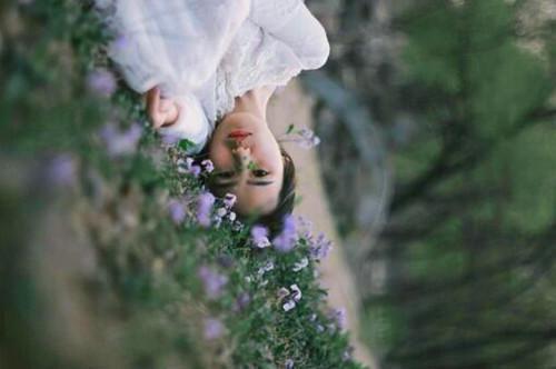 江颂傅月笙张时絮最新章节内容 爱情自有天意小说江颂傅月笙张时絮免费阅读全文