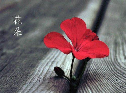 彭思远乐妍最新章节更新时间 丈夫身上的痘痘被人抠了:后续笔趣阁最新章节