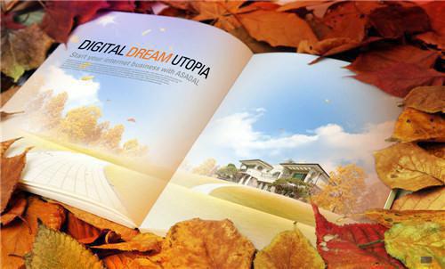 谷洛妍谢徊璟谷婕免费阅读最新章节 恰似繁星映晚空免费阅读