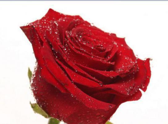 秦臻苏晚晴免费阅读 潮痕往事小说最新章节列表