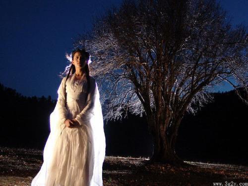 陆叙言沈舒芸小说笔趣阁最新章节 沈舒芸陆叙言by萌新写手