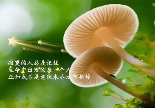 钟亦琛小说免费阅读 钟亦琛张嘉敏温颂全文最新更新内容