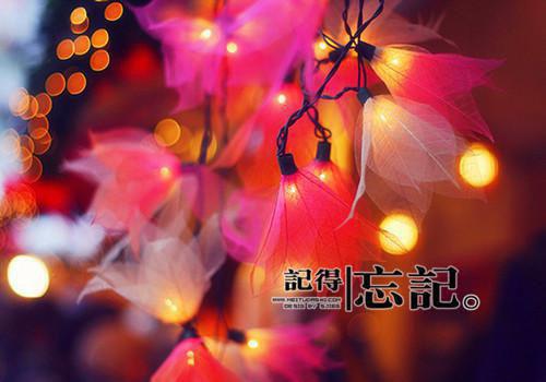 沈清欢小说笔趣阁最新章节 破碎的芭比by萌新写手