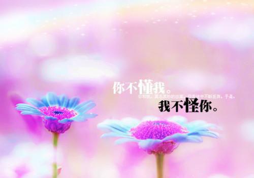 宋旭光林瑶宋旭辉洛溪最新章节更新状态 弟弟与我交换兽人妻子后，我逆袭了by青衫客免费阅读