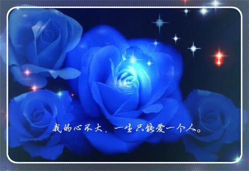 沈佳琪苏月明免费阅读最新章节 重生回闺蜜肚子里，我俩杀疯了：后续沈佳琪苏月明全文