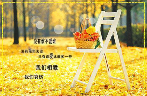 林岚沈以宁沈言蹊白念清和谁在一起了 青春重溯我不回头（路人甲）免费阅读