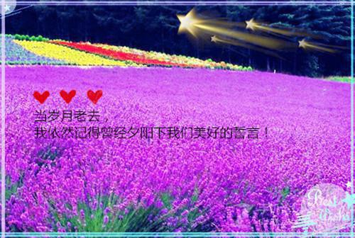 曲知愿贺宴淮的最新章节更新时间 热吻荆棘短篇小说