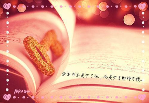 清竹赵婉朱珩小说叫什么名字 雪中春信：后续未删减小说