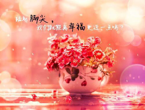 宋暖阳(傅司瑾宋暖阳宋念宁林冉冉)最新推荐_宋暖阳(傅司瑾宋暖阳宋念宁林冉冉)免费阅读