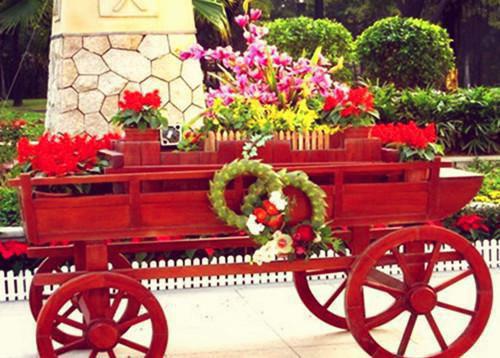 林念梨霍闻礼是哪部小说 若即若离的爱免费阅读林念梨霍闻礼小说