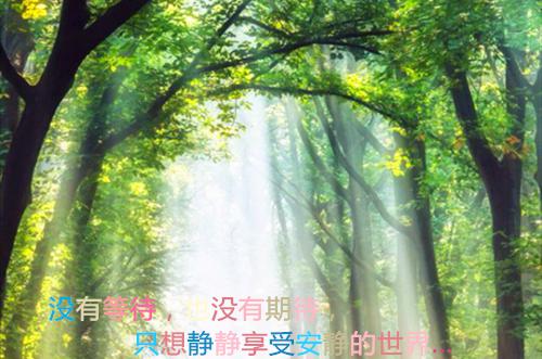 林雨欣傅沉深许婉小说 与你在晚风失约小说林雨欣傅沉深许婉