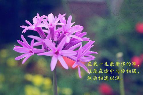 陆璟晨林梦涵沈之白和谁在一起了 中秋节当天，妻子让我全家买下巨款月饼笔趣阁