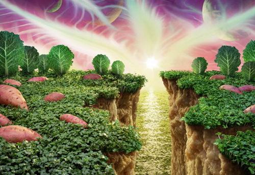 快穿之恶女的自我修养全文阅读（时念黎安）最新章节_快穿之恶女的自我修养全文阅读