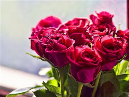 南溪厉慕沉最新章节更新 南溪厉慕沉笔趣阁