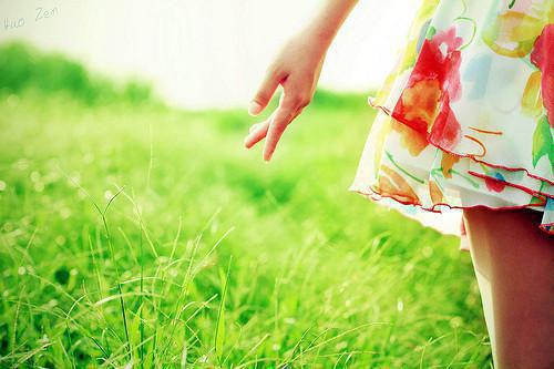 我林泽然林染小说名 爱止风熄：后续小说免费阅读全文最新章节