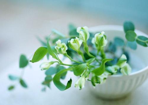 宋妤江奕最新章节更新 青安难寄故人辞：番外by路人甲