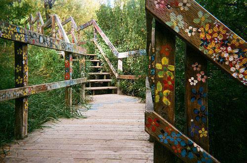 周清颜江砚泽小说叫什么 当知道老公的肾在哪后短篇小说