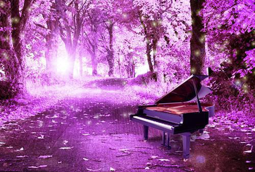 虞诺周聿琛许佳宜什么关系 虞诺周聿琛：完整短篇小说