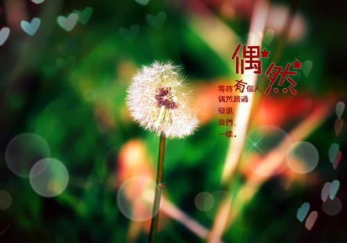 完结文良辰美景相思处:+完结+后续最新章节列表_完结文良辰美景相思处:+完结+后续全文免费阅读(江瑶茵顾承宇)