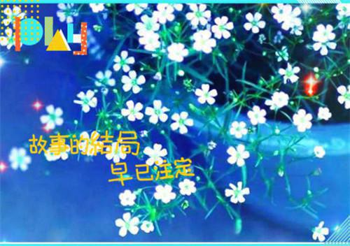 晏暖沈宵然秦瑟瑟小说免费阅读 那夜的雨，如一场好梦延续小说正版阅读