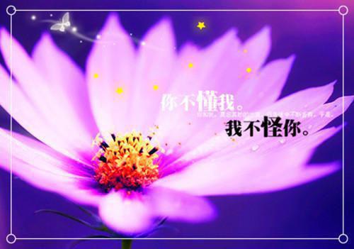 沈淮之蒋奚瑶祁夏最新章节列表 扶他青云志，等他高楼塌电子书