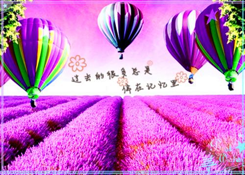 赵思璐赵若若沈月免费阅读最新章节结局 回豪门第一天，我和贵妇妈灵魂互换了,假千金对我嘤嘤全文免费阅读