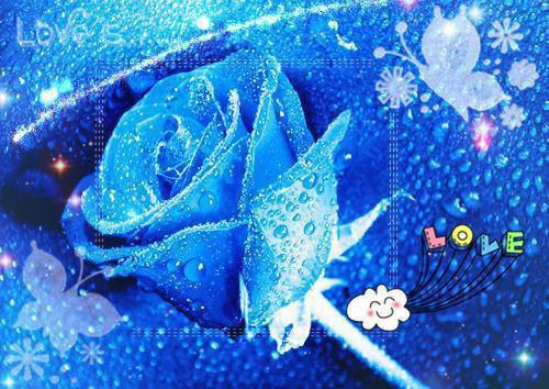 苏朝朝薄云飞结局 星河过处,你我永别:后续最新章节更新