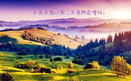 宋秋妍顾庭森小说 宋秋妍顾庭森原著在线阅读