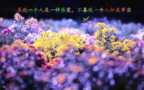 宁蓁祁野笔趣阁免费阅读 宁蓁祁野夏晴小说全文免费