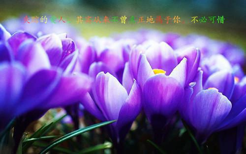 借他高枝爬科技帝国，踹掉渣男我封神（百星林芝陆川）最新推荐_最新推荐借他高枝爬科技帝国，踹掉渣男我封神（百星林芝陆川）