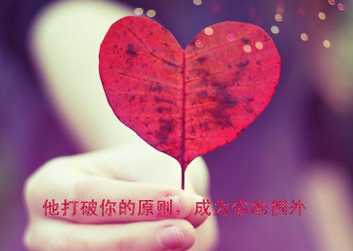 向晴天最新章节列表 员工大会,老板批评我白嫖公司电费原著在线阅读