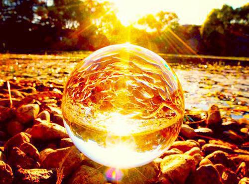 你出轨在先，我嫁你哥你哭什么全文阅读（苏奈蒋京墨）最新章节_你出轨在先，我嫁你哥你哭什么全文阅读