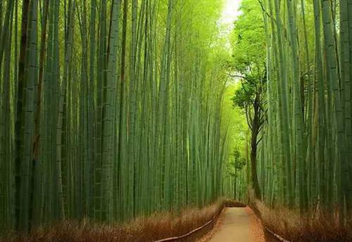 云晚笙最新章节内容 她是神明，渡世间万鬼笔趣阁最新章节列表