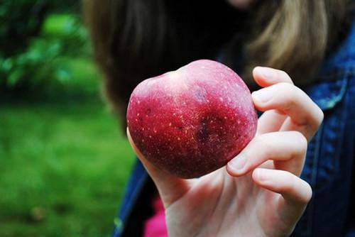 洛凝晚夜烬寒洛清越洛思远免费阅读最新章节结局 与君同烬by青衫客免费阅读