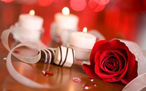 叶卿鸢顾铭川小说名 叶卿鸢顾铭川全文免费阅读