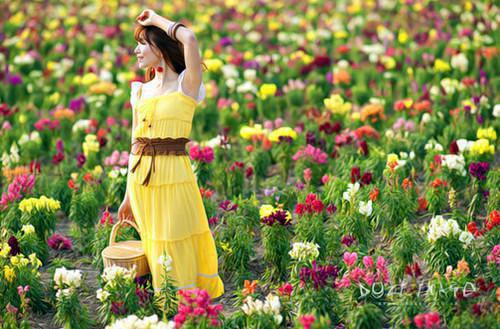 余安青崔行默楚照晚小说免费阅读最新章节 余安青崔行默by佚名