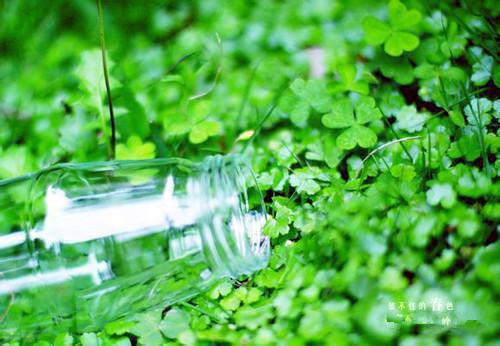 她曾独自趟过洪流江语桐靳砚辞免费小说笔趣阁_她曾独自趟过洪流江语桐靳砚辞完结小说免费阅读