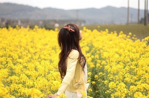 苏姜盼厉钟衍免费阅读 豪门婚殺:亡妻归来,厉总请接招小说全文免费