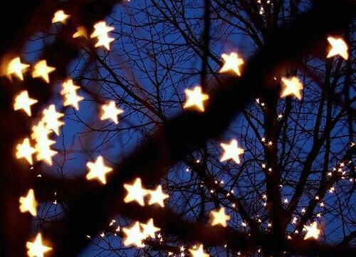 盛清清陈越肖阿姨盛暖暖小说免费阅读最新章节 我妈是最有网感的特级教师盛清清陈越肖阿姨盛暖暖全文