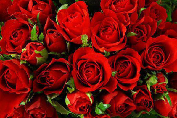 漫雨蛇吻（我蛇）最新推荐_最新推荐漫雨蛇吻（我蛇）