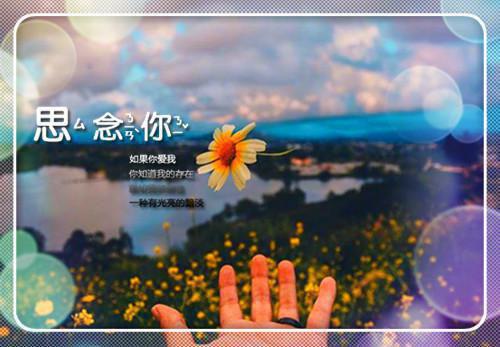 许沁夏秦司深穆语玫小说结局 许沁夏秦司深：后续by扑街免费阅读