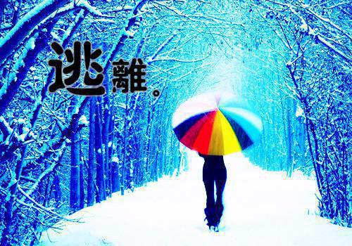 许昭意顾临川最新章节更新状态 曾照孤心一片雪未删减小说