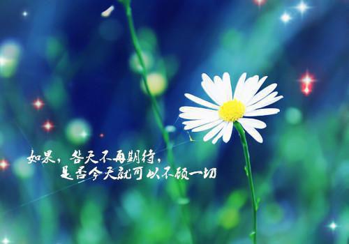 苏雨晴顾煜免费阅读最新章节结局 肚子里的女儿用心声和我雌竞：番外免费阅读苏雨晴顾煜小说