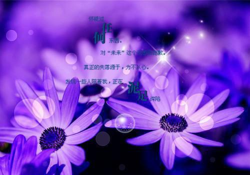 南秋季川司南小说全文阅读(爱恨随风起，风止意已平：后续)隐藏剧情逐渐揭晓南秋季川司南的情感纠葛与命运抉择！