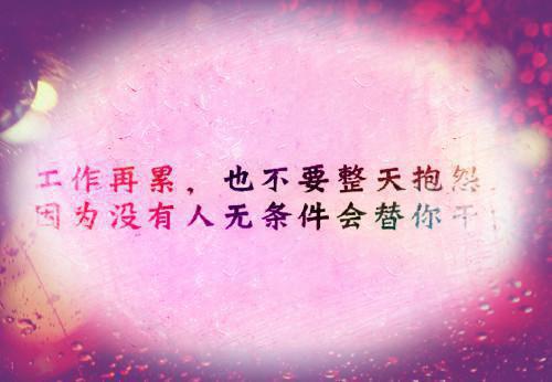 沈言曦小说免费阅读全文 曾有曦光映山河笔趣阁最新章节